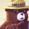 Picture of Smokey Bear Bandanas (Cotton)(Currently out of stock)