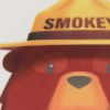 Picture of Smokey Bear Jar Openers
