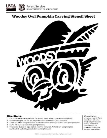 Picture of Woodsy Owl Pumpkin Carving Stencil Sheet