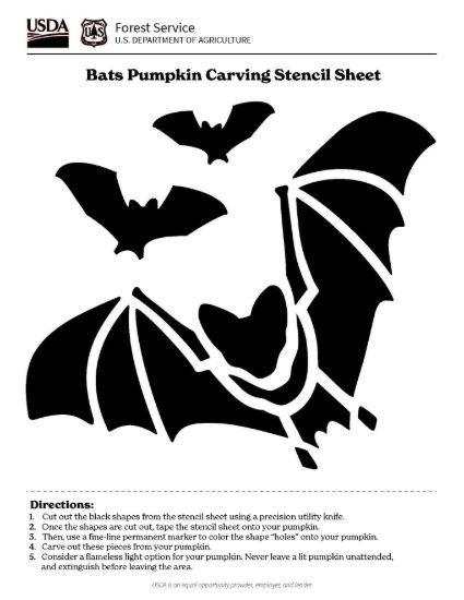 Picture of Bats Pumpkin Carving Stencil Sheet