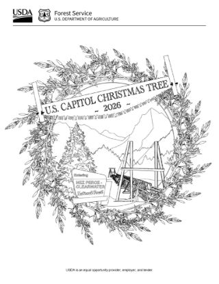 Picture of 2026 Capitol Christmas Tree Ornament Coloring Page #1, Digital Download.