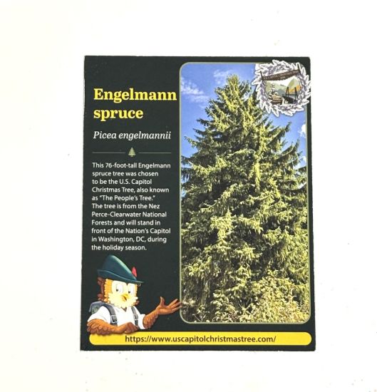 Picture of 2026 Capitol Christmas Tree Card